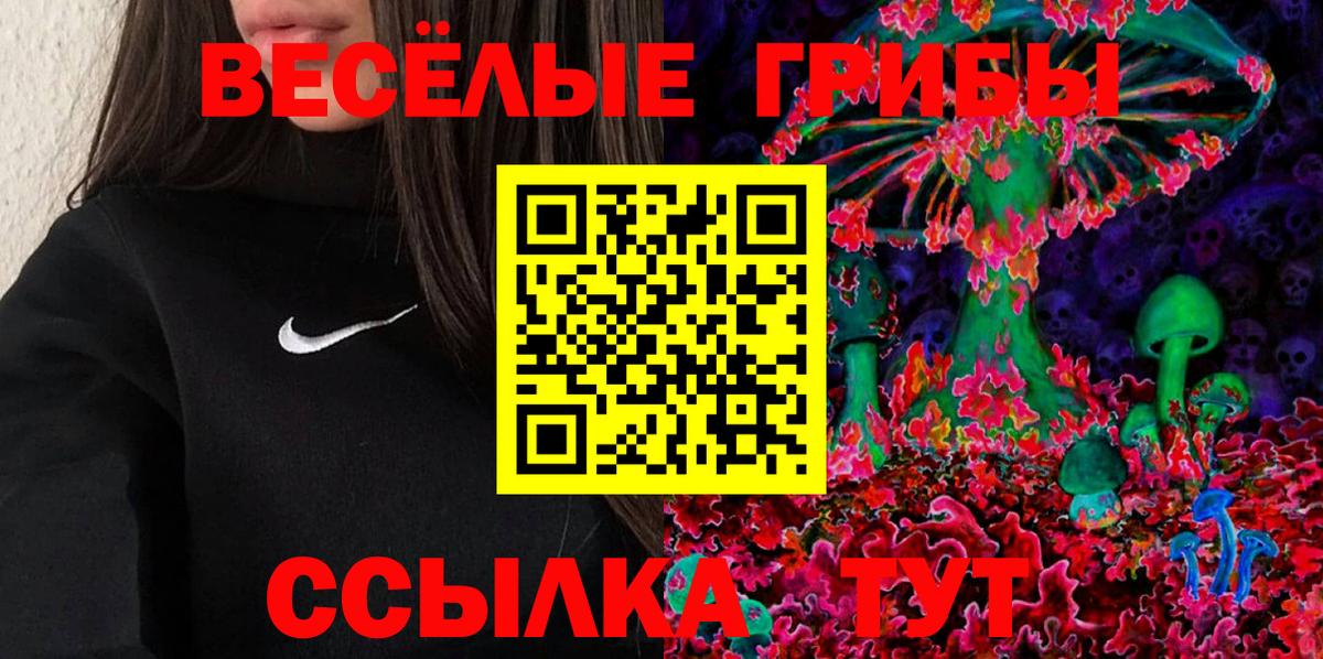 Псилоцибиновые грибы Psilocybine cubensis Набережные Челны